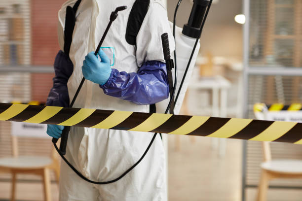 Professional Hoarding Cleanup technician working in Southold, NY